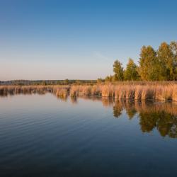 Фото Эко-отель Лесной Ключ