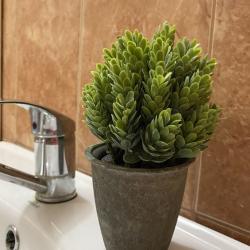 Фото Апартаменты на проспекте Ленина 132