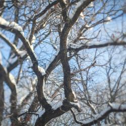 Фото Отель Дубровский парк-клуб