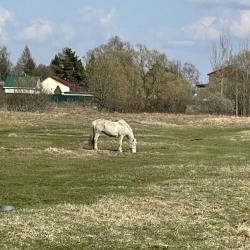 2-комнатный коттедж улучшенный