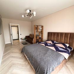 1-комнатные апартаменты студия