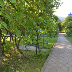 Фото Отель ЮрГа