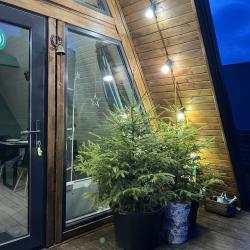 Фото Отель Страна Оз