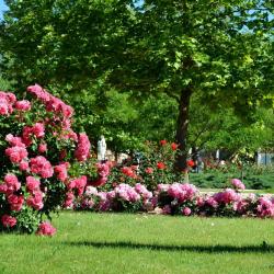 Фото Отель Сакрополь