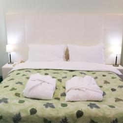 Номер люкс бизнес с 1 двуспальной кроватью