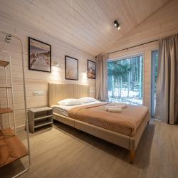 Дом с видом на лес гостиная со спальней (40 кв.м)