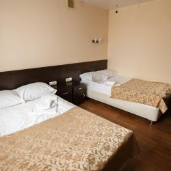 Фото Отель Одон