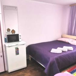 Фото Отель АлтИон