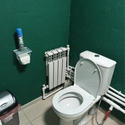 Фото Отель Эмиль