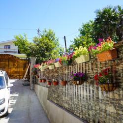 Фото Отель Виолетта