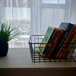 2-комнатные апартаменты люкс Маяковского 44