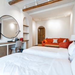 Номер делюкс с 1 двуспальной кроватью и террасой