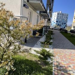 1-комнатные апартаменты студия