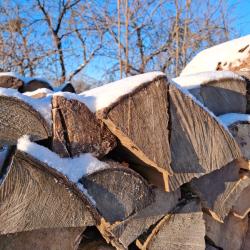 Фото Отель Гостевой дом Брейтово