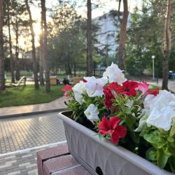 2-комнатные апартаменты улучшенные