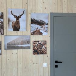 Фото Отель Happy Tree Camp (Хэппи Три Кемп)
