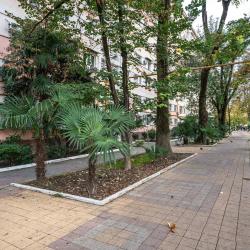 3-комнатные апартаменты люкс Роз 82