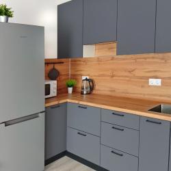 Фото Отель Уютная квартира в новом ЖК рядом с Немецкой деревней, Экспоград Юг