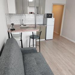 1-комнатные апартаменты студия