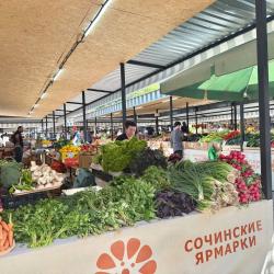 1-комнатные апартаменты стандарт №1