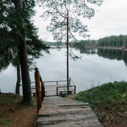 Фото Отель Лесная обитель