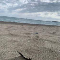 Фото Отель Riviera (Ривьера)