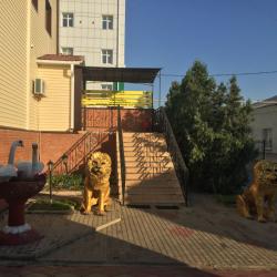Фото Отель Колизей
