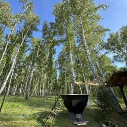 Фото Отель Шишки