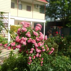 Фото Отель Маргарита