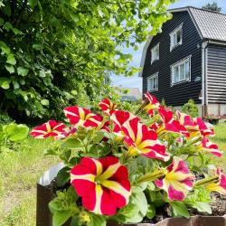 Фото Отель Гостевой комплекс Сосны