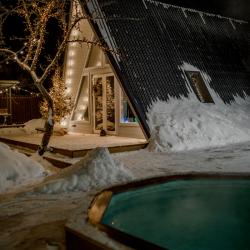 Дом у сосны