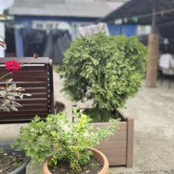 Фото Отель Тихое море