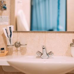 Номер люкс (мансарда)