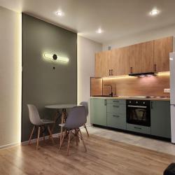 1-комнатные апартаменты студия