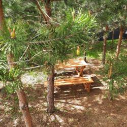 Фото Отель Кусочек рая в соснах