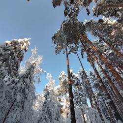 Фото Отель ЭЙВА
