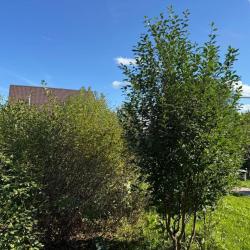 Фото Отель Маруся House (Хаус)