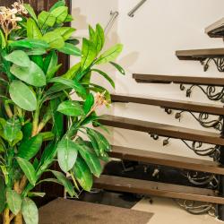 Фото Отель Березка