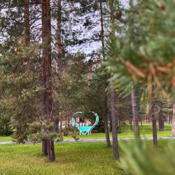 Фото Отель Лесная ласточка