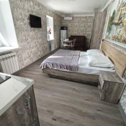 1-комнатные апартаменты студия Красной Армии 136/14