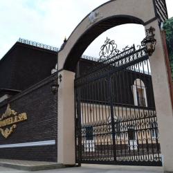 Фото GRAND HOTEL & SPA MAYKOP (Гранд отель и СПА)