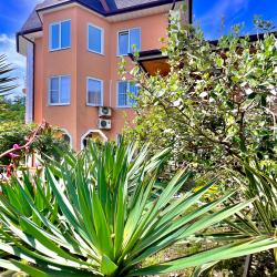 Фото Отель Каролина