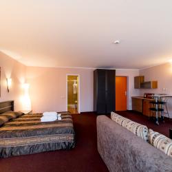 2-комнатные апартаменты стандарт Модерн (с пансионом)