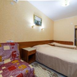 Номер стандарт с 1 односпальной и 1 двуспальной кроватью (с полупансионом)