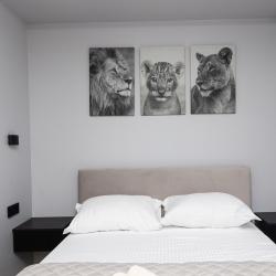 фото 15 MOKO Apartments (МОКО Апартментс) на улице Бахрушина 1 сектор 1