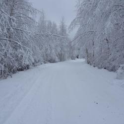 Фото Отель Великое Озеро