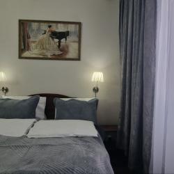 Фото Отель Шишкино-парк аэропорт Домодедово