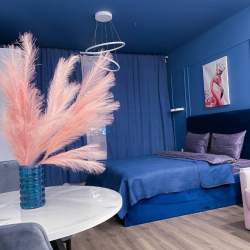 1-комнатные апартаменты студия с 1 двуспальной кроватью FLAMINGO
