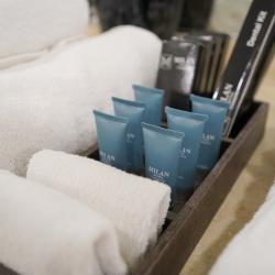 Фото Отель Milan (Милан)