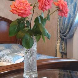 Фото Отель На Верандах